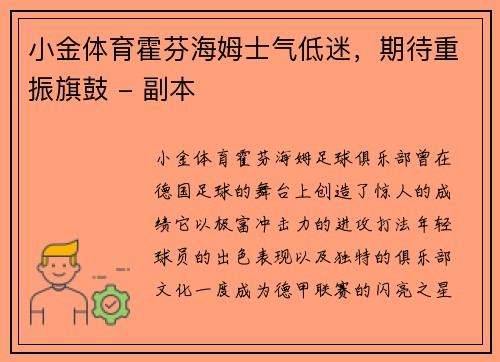 小金体育霍芬海姆士气低迷，期待重振旗鼓 - 副本